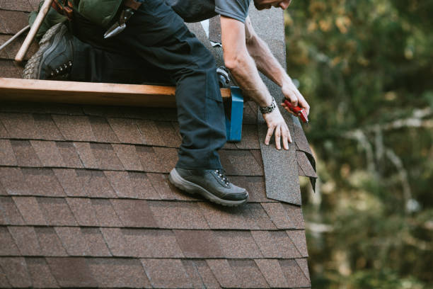 Best Tile Roofing Installation  in Apollo Beach, FL